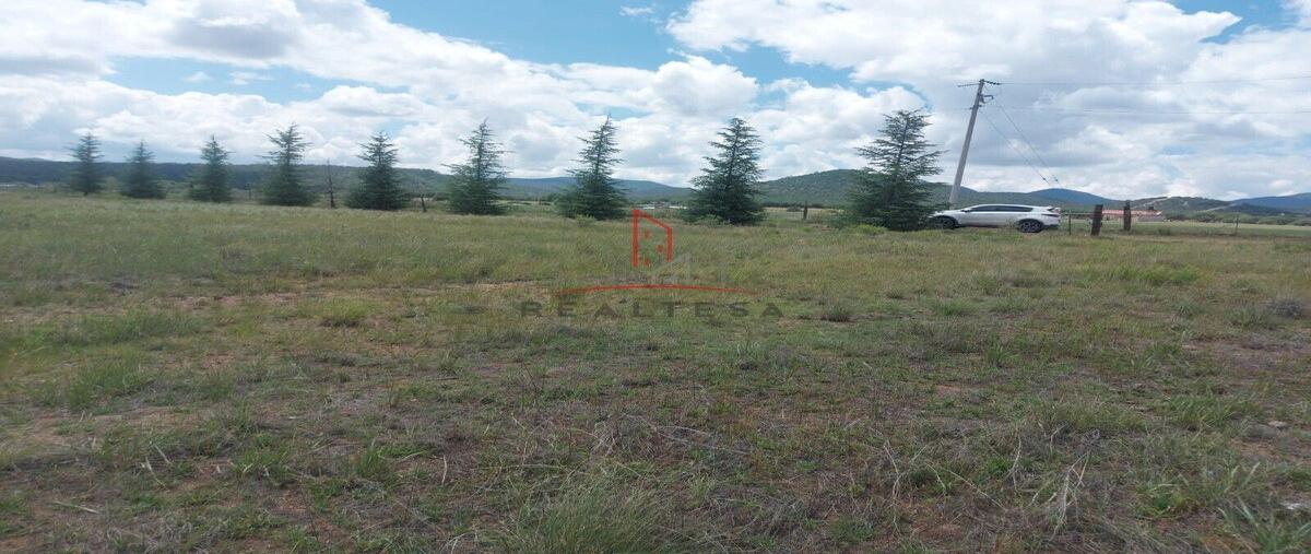 Foto de terreno habitacional en venta en  , campo 1b, cuauhtémoc, chihuahua, 0 No. 04