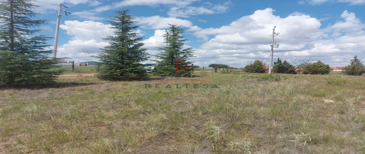 Foto de terreno habitacional en venta en  , campo 1b, cuauhtémoc, chihuahua, 0 No. 05