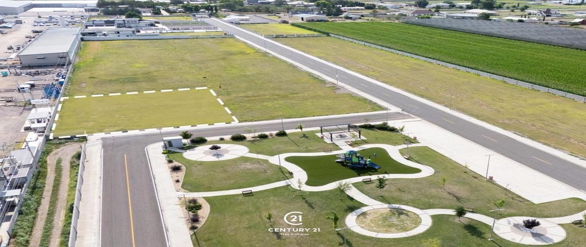 Foto de terreno habitacional en venta en  , campo 22, cuauhtémoc, chihuahua, 30647133 No. 03