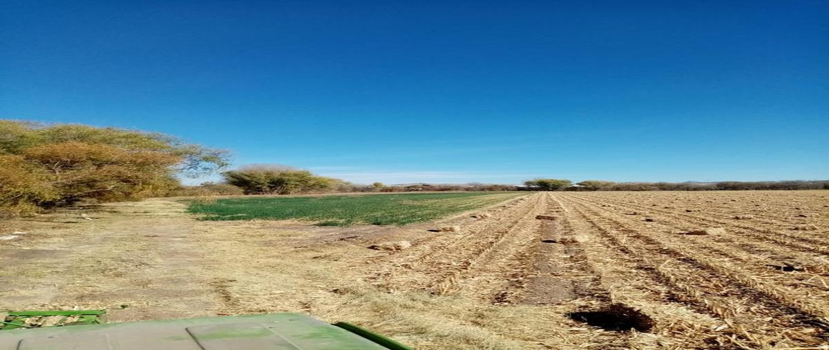 Foto de terreno habitacional en venta en  , campo 25 . 5, cuauhtémoc, chihuahua, 24988391 No. 03