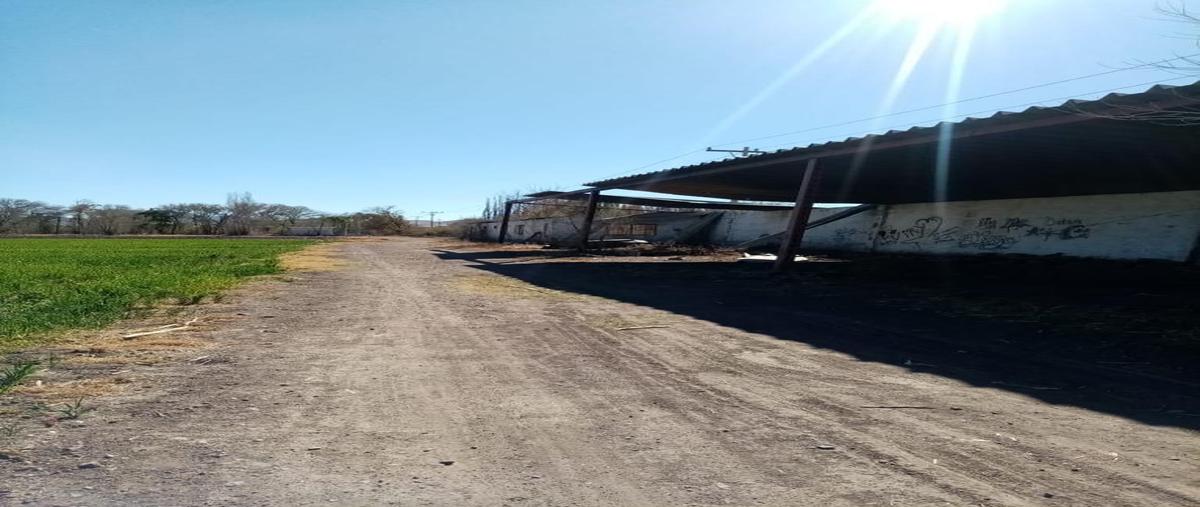 Foto de terreno habitacional en venta en  , campo 25 . 5, cuauhtémoc, chihuahua, 24988391 No. 04