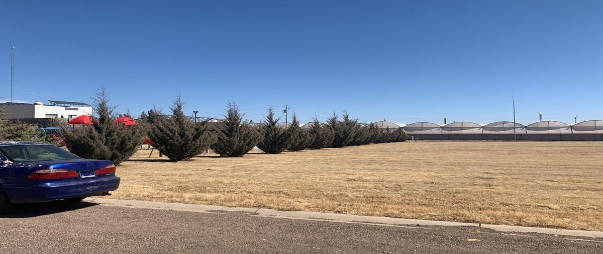 Foto de terreno habitacional en venta en  , campo 2a, cuauhtémoc, chihuahua, 26116301 No. 05
