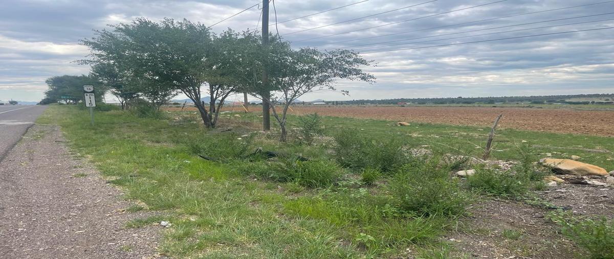 Foto de terreno habitacional en venta en  , campo 9.5 o casa colorada, cuauhtémoc, chihuahua, 26998189 No. 04