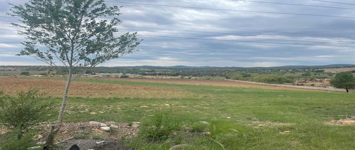 Foto de terreno habitacional en venta en  , campo 9.5 o casa colorada, cuauhtémoc, chihuahua, 26998189 No. 05