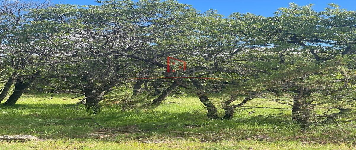 Foto de terreno habitacional en venta en  , campo 9.5 o casa colorada, cuauhtémoc, chihuahua, 0 No. 03