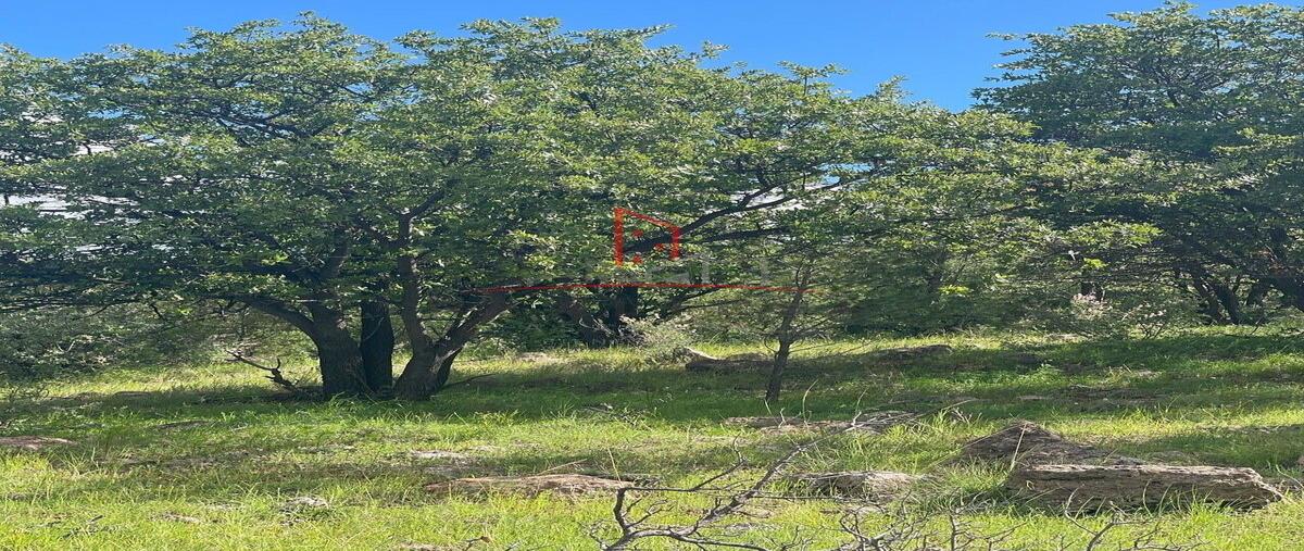 Foto de terreno habitacional en venta en  , campo 9.5 o casa colorada, cuauhtémoc, chihuahua, 0 No. 04