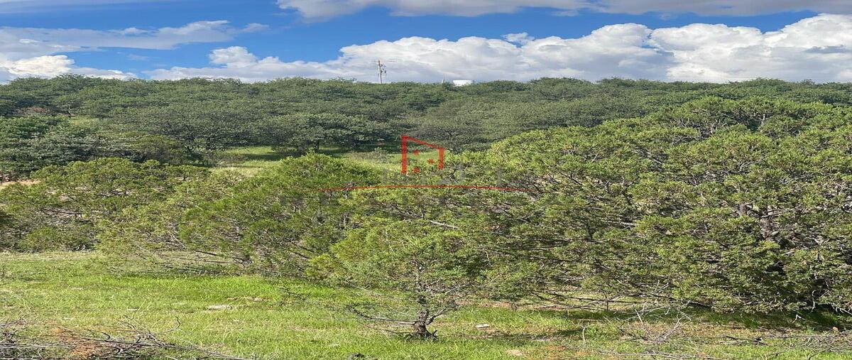 Foto de terreno habitacional en venta en  , campo 9.5 o casa colorada, cuauhtémoc, chihuahua, 0 No. 05