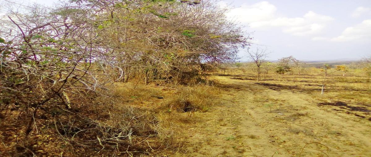Foto de terreno habitacional en venta en  , campo acosta, tomatlán, jalisco, 11997124 No. 04