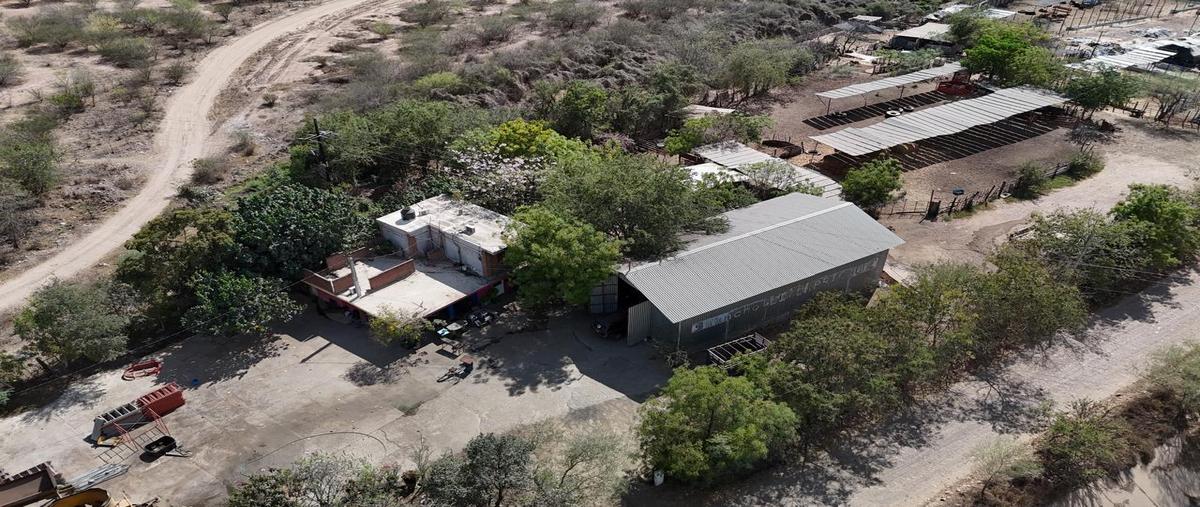 Foto de local en , campo arbaco, culiacán, sinaloa, 0 foto 01 Foto de local en venta en , campo arbaco, culiacán, sinaloa, 0 No. 01
