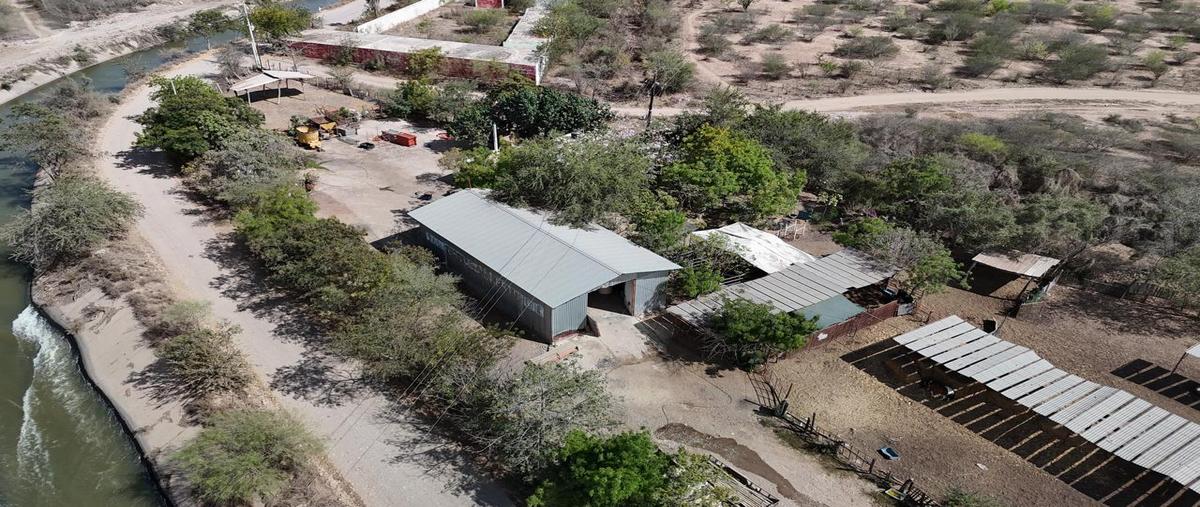 Foto de local en , campo arbaco, culiacán, sinaloa, 0 foto 03 Foto de local en venta en , campo arbaco, culiacán, sinaloa, 0 No. 03