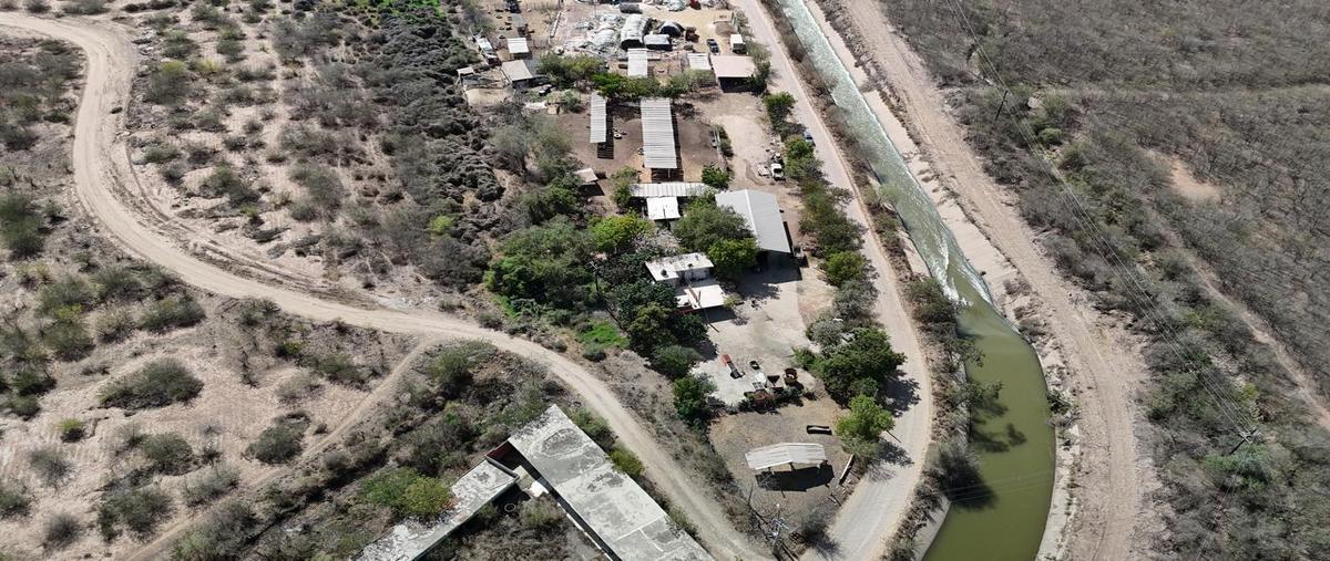 Foto de local en , campo arbaco, culiacán, sinaloa, 0 foto 04 Foto de local en venta en , campo arbaco, culiacán, sinaloa, 0 No. 04