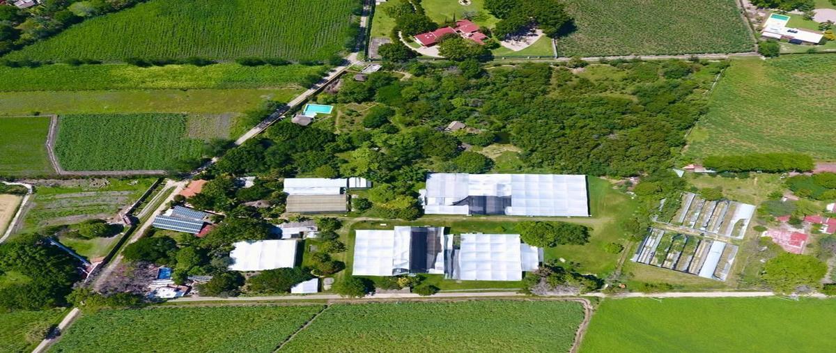 Foto de terreno comercial en venta en campo chamilpa , diego ruiz, yautepec, morelos, 0 No. 04