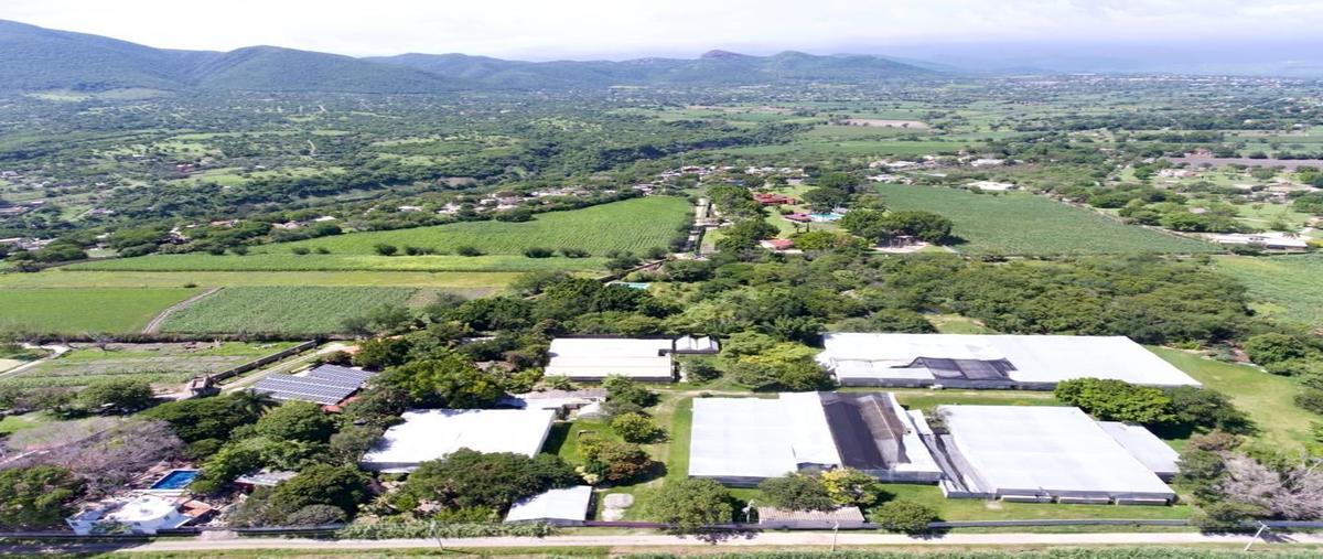 Foto de terreno comercial en venta en campo chamilpa , diego ruiz, yautepec, morelos, 0 No. 05