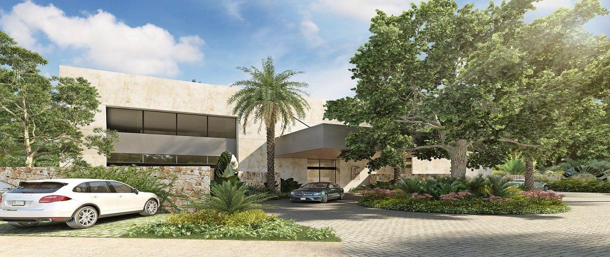 Foto de terreno habitacional en venta en campo magno , santa maría yaxché, mérida, yucatán, 0 No. 05