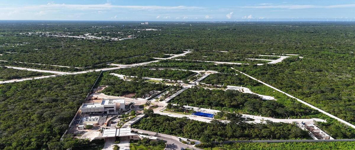 Foto de terreno habitacional en venta en campo magno , tamanché, mérida, yucatán, 30294449 No. 05