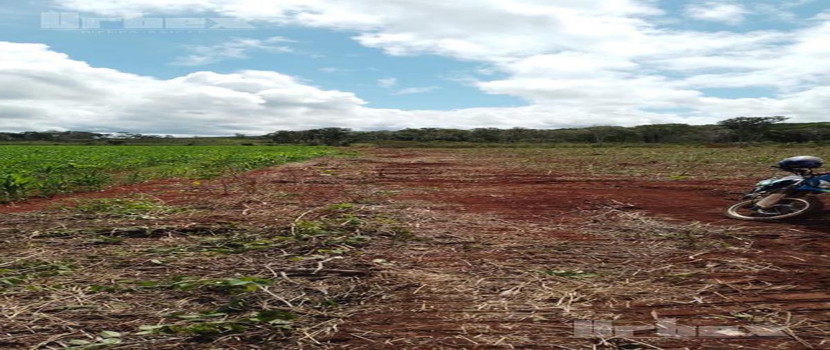 Foto de terreno habitacional en venta en  , campo menonita, hopelchén, campeche, 26059098 No. 03