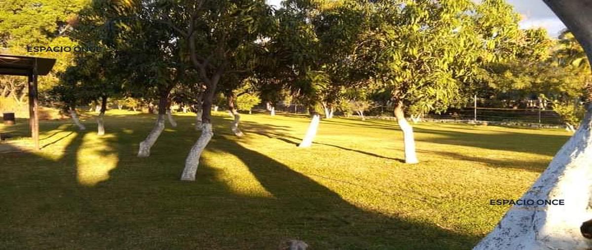 Foto de terreno habitacional en venta en  , campo nuevo, emiliano zapata, morelos, 28020802 No. 03