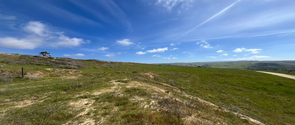 Foto de terreno habitacional en venta en campo real l11 , campo real, playas de rosarito, baja california, 30979184 No. 05
