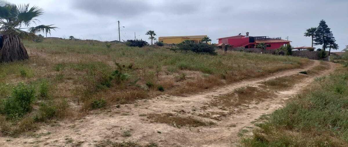Foto de terreno habitacional en venta en  , campo real, playas de rosarito, baja california, 28431923 No. 03