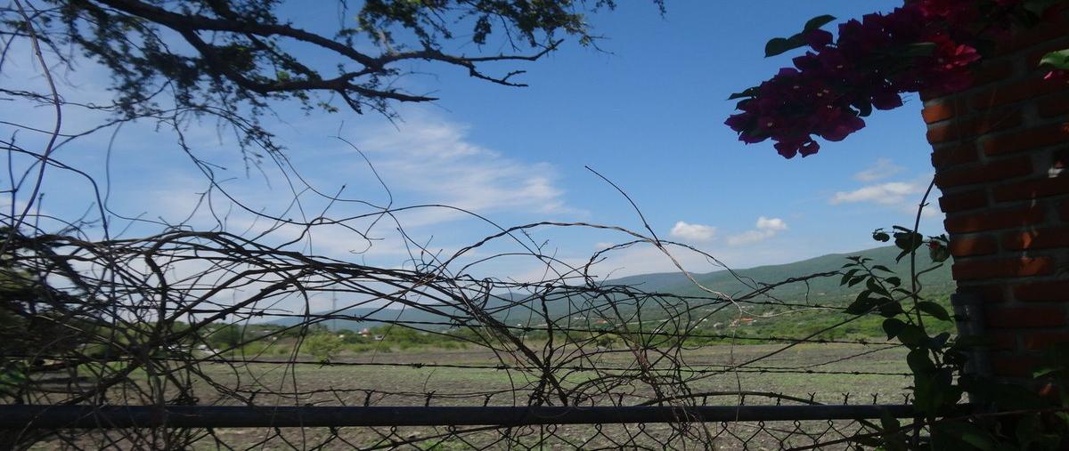Foto de terreno habitacional en campo san pablo , diego ruiz, yautepec, morelos, 0 foto 02 Foto de terreno habitacional en venta en campo san pablo , diego ruiz, yautepec, morelos, 0 No. 02