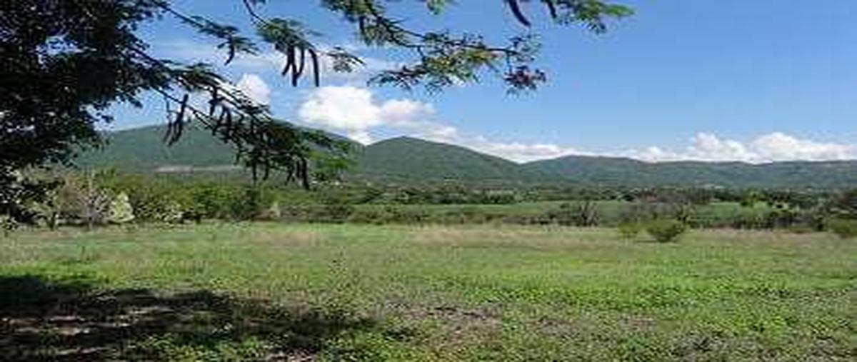 Foto de terreno habitacional en campo san pablo , diego ruiz, yautepec, morelos, 0 foto 04 Foto de terreno habitacional en venta en campo san pablo , diego ruiz, yautepec, morelos, 0 No. 04