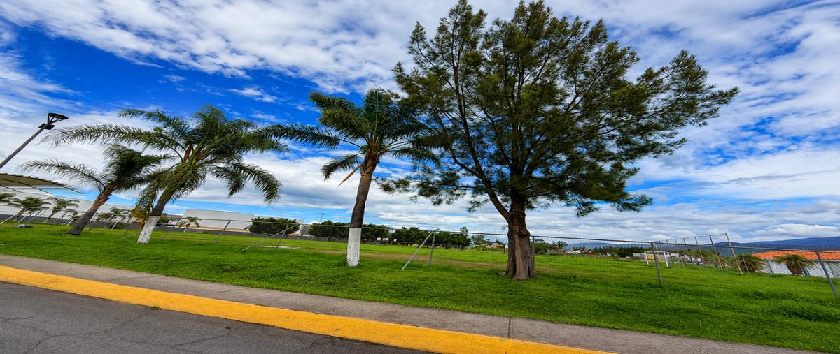 Foto de terreno habitacional en venta en  , campo sur, tlajomulco de zúñiga, jalisco, 31529492 No. 05