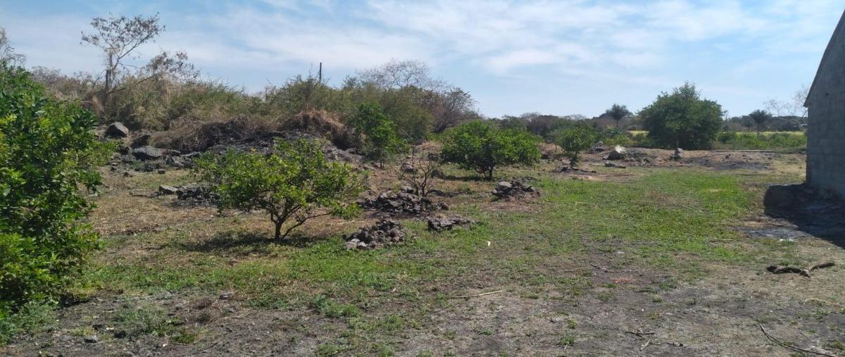 Foto de terreno habitacional en venta en campo texcalzingo , atlacholoaya, xochitepec, morelos, 26110897 No. 01