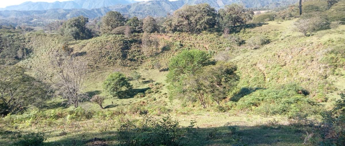 Foto de casa en venta en  , campo viejo, coatepec, veracruz de ignacio de la llave, 0 No. 04
