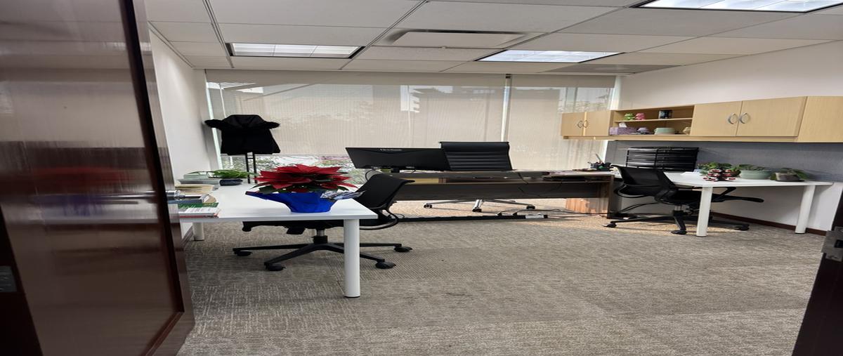 Foto de oficina en renta en campos eliseos , polanco iii sección, miguel hidalgo, df / cdmx, 30240406 No. 05