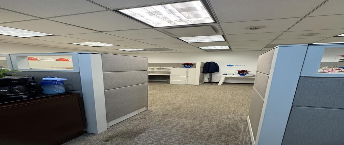 Foto de oficina en renta en campos elíseos , polanco iii sección, miguel hidalgo, df / cdmx, 0 No. 05