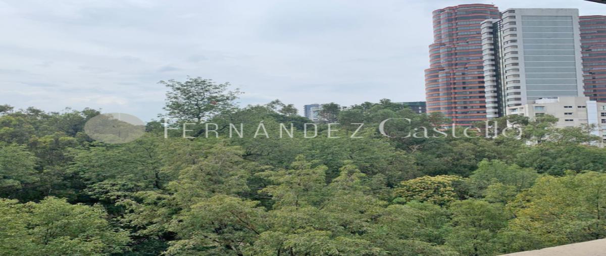 Foto de departamento en renta en campos elíseos , polanco v sección, miguel hidalgo, df / cdmx, 29095192 No. 05