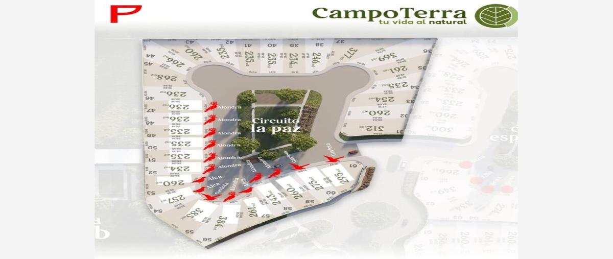 Foto de casa en venta en campoterra , las trojes, torreón, coahuila de zaragoza, 0 No. 03