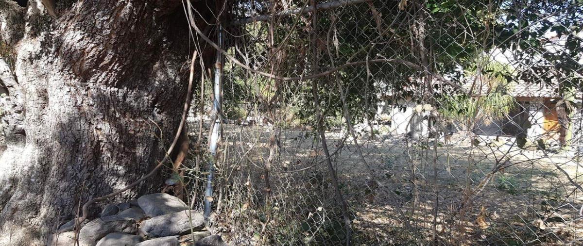 Foto de terreno habitacional en venta en canacinta , ajijic centro, chapala, jalisco, 29876289 No. 03