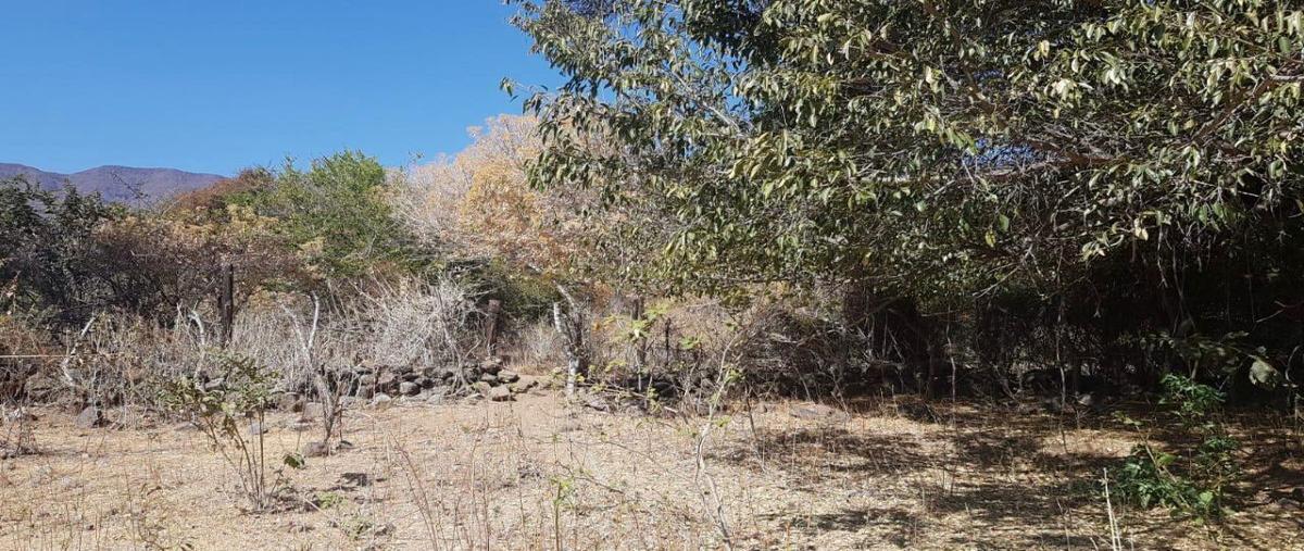 Foto de terreno habitacional en venta en canacinta , ajijic centro, chapala, jalisco, 29876289 No. 05