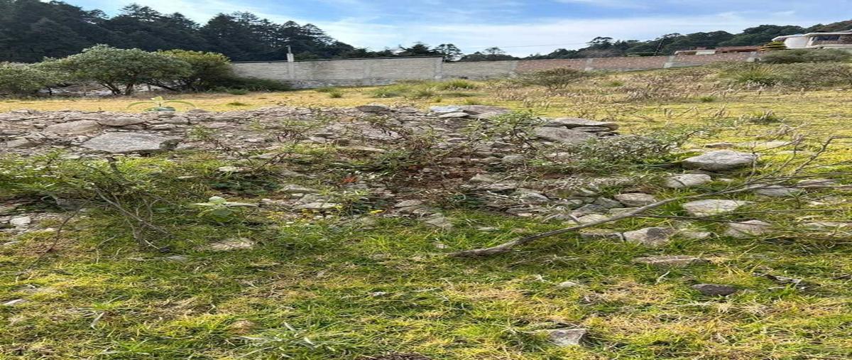 Foto de terreno habitacional en venta en  , cañada de alférez, lerma, méxico, 0 No. 05