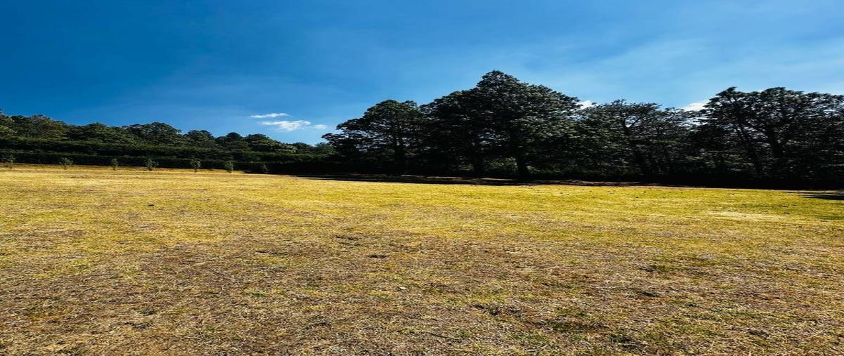 Foto de terreno habitacional en venta en  , cañada de alférez, lerma, méxico, 0 No. 03