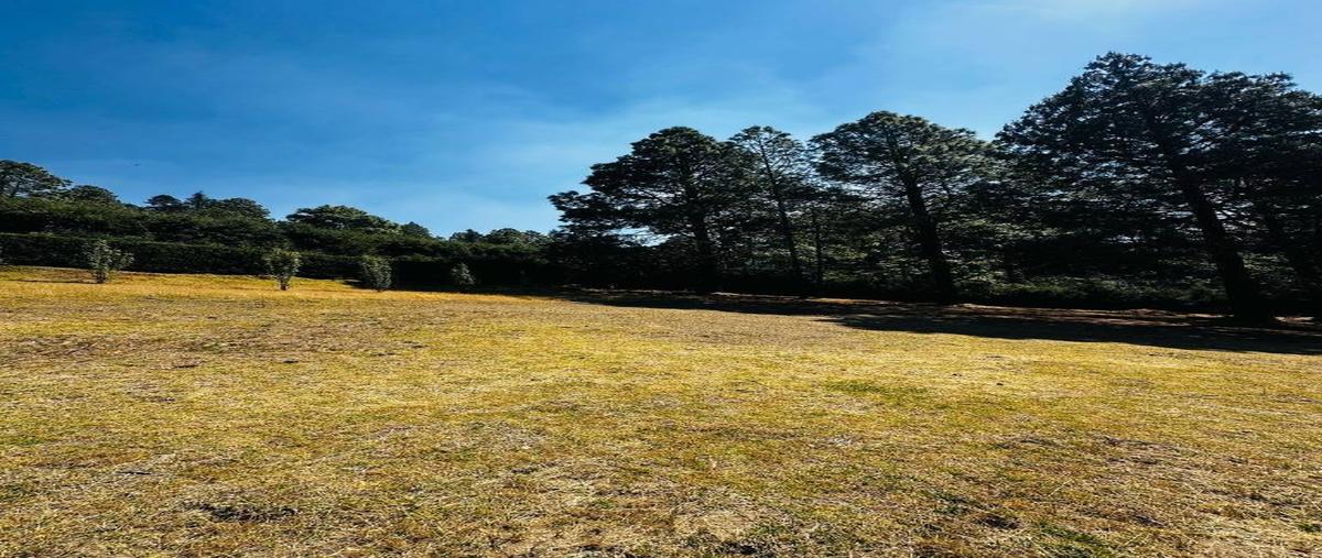 Foto de terreno habitacional en venta en  , cañada de alférez, lerma, méxico, 0 No. 05