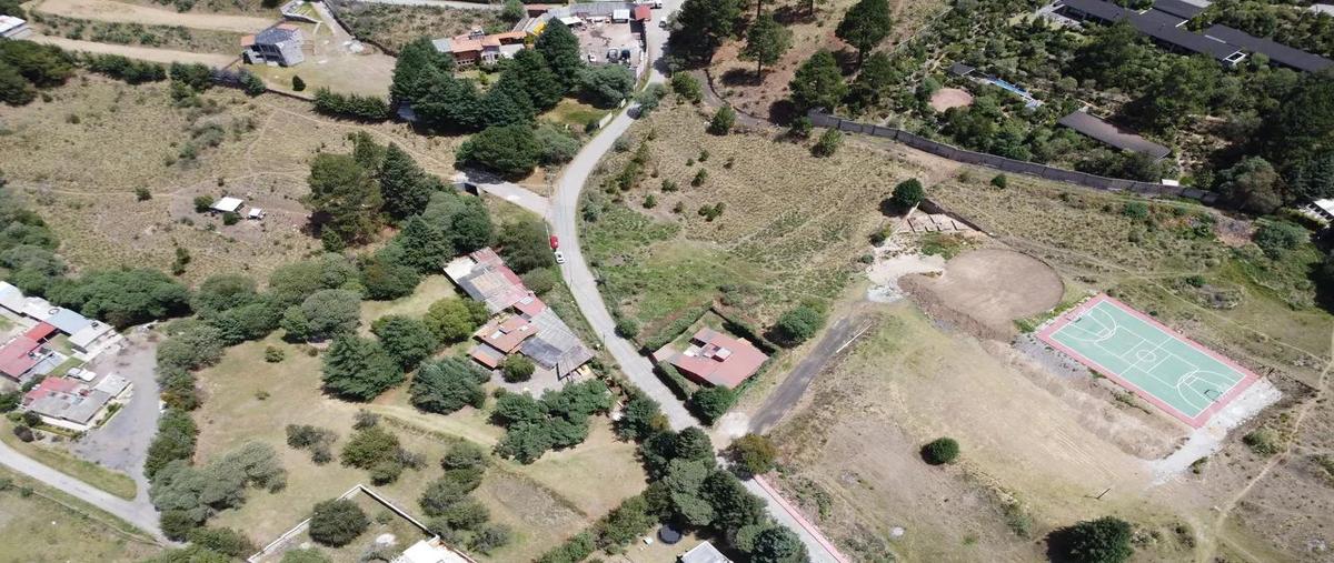 Foto de terreno habitacional en venta en  , cañada de alférez, lerma, méxico, 0 No. 04