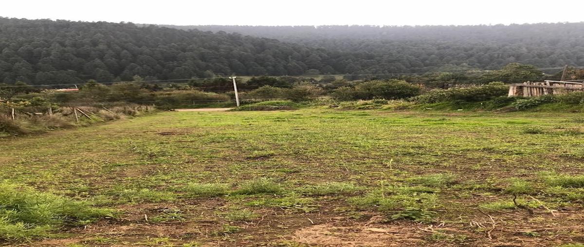 Foto de terreno habitacional en venta en  , cañada de alférez, lerma, méxico, 0 No. 03