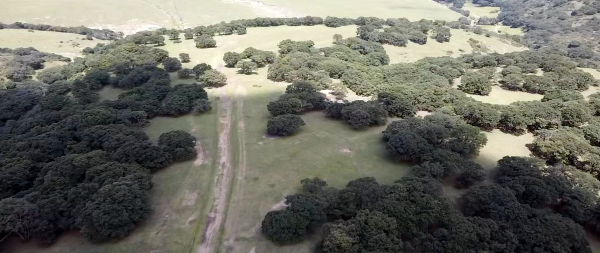 Foto de terreno habitacional en venta en  , cañada de cisneros, tepotzotlán, méxico, 17003280 No. 04