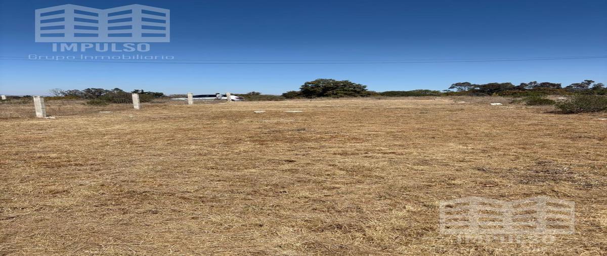 Foto de terreno habitacional en venta en  , cañada de cisneros, tepotzotlán, méxico, 0 No. 05