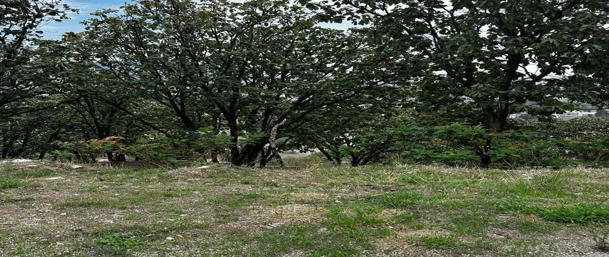 Foto de terreno habitacional en venta en cañada de león , bugambilias, zapopan, jalisco, 0 No. 04