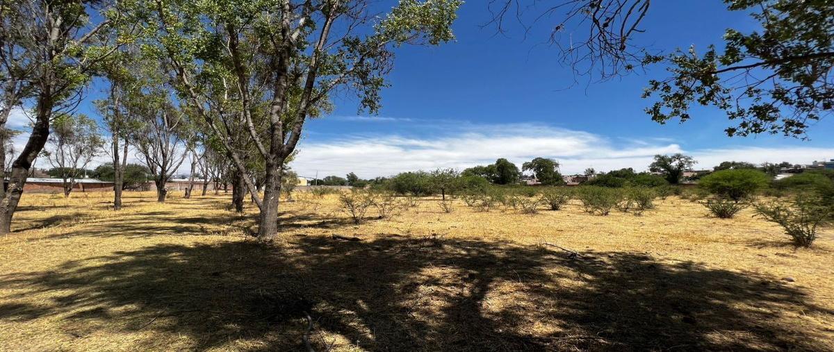 Foto de terreno comercial en venta en  , cañada de ricos, lagos de moreno, jalisco, 27410562 No. 03