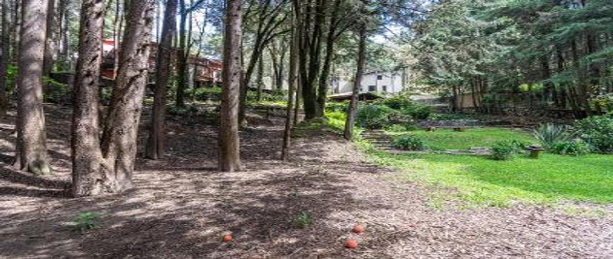Foto de casa en venta en cañada fraccionamiento hacienda san martìn , tepexoyuca, ocoyoacac, méxico, 0 No. 04