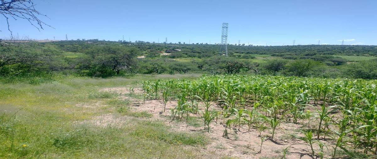Foto de terreno habitacional en venta en  , cañada grande de cotorina, aguascalientes, aguascalientes, 28470627 No. 04