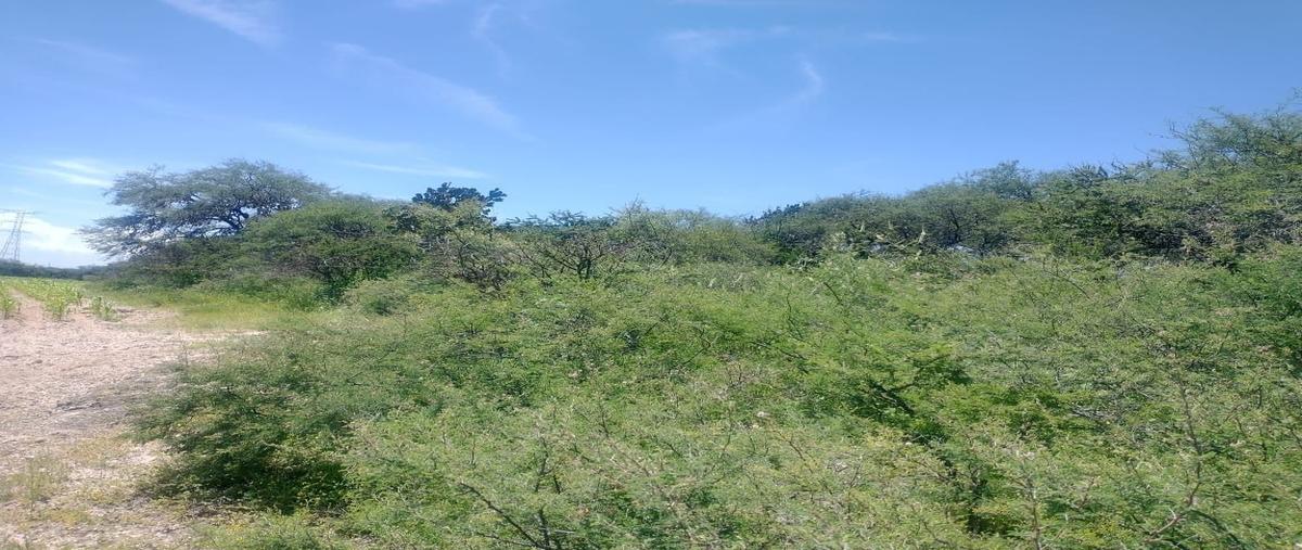 Foto de terreno habitacional en venta en  , cañada grande de cotorina, aguascalientes, aguascalientes, 28470627 No. 05