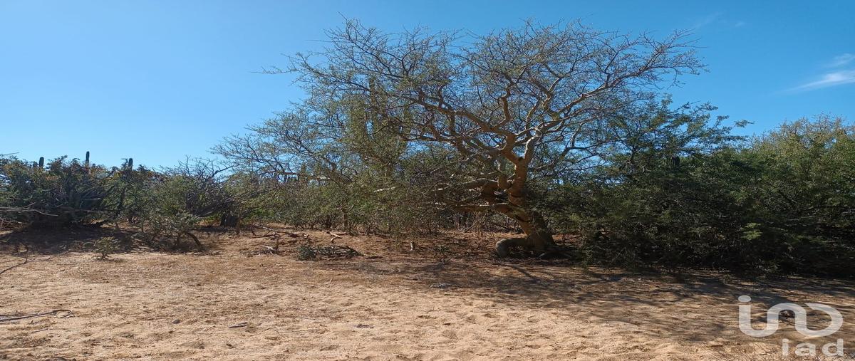 Foto de terreno habitacional en venta en cañada verde , ensenada de muertos, la paz, baja california sur, 28721717 No. 03