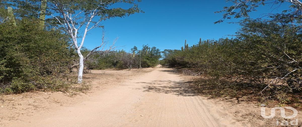 Foto de terreno habitacional en venta en cañada verde , ensenada de muertos, la paz, baja california sur, 28721717 No. 04