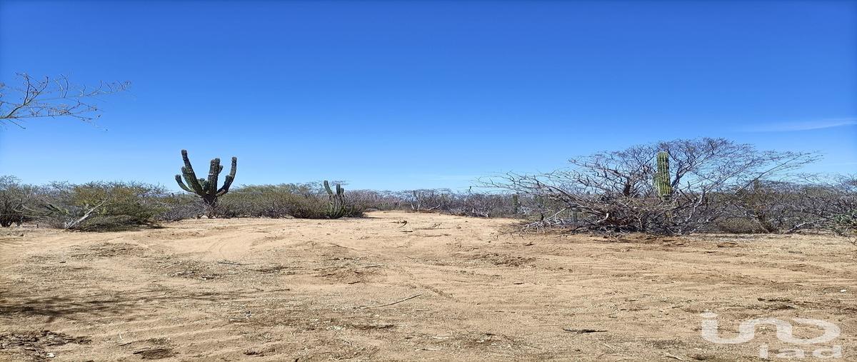 Foto de terreno habitacional en venta en cañada verde , ensenada de muertos, la paz, baja california sur, 28721717 No. 05