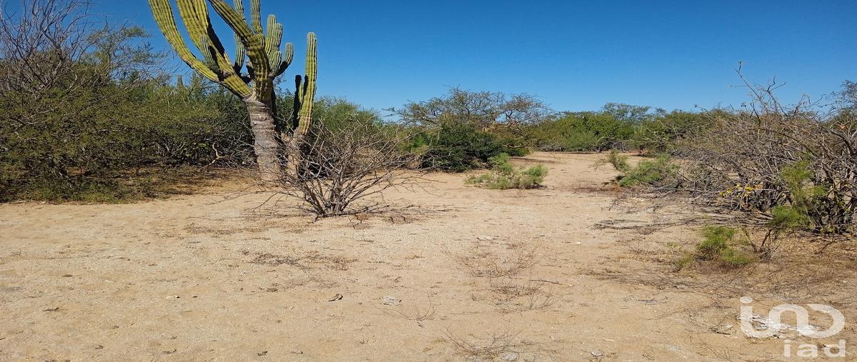 Foto de terreno habitacional en venta en cañada verde , ensenada de muertos, la paz, baja california sur, 28721717 No. 10